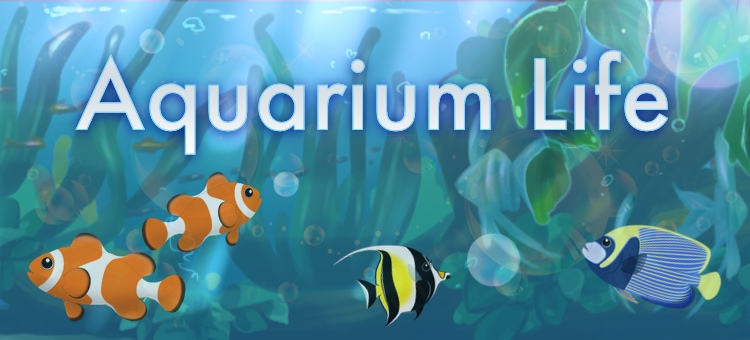 Aquarium Life